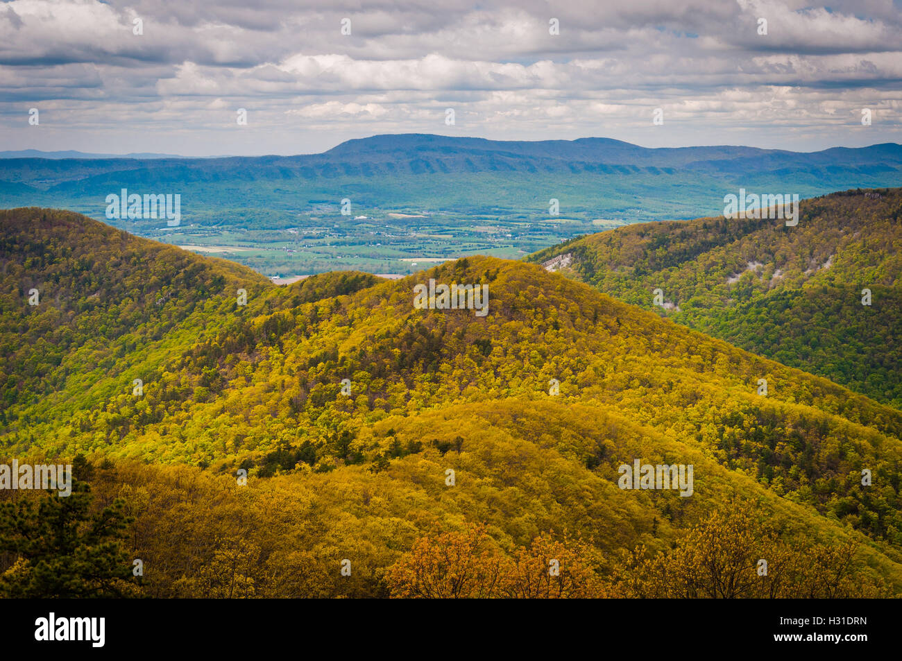 Spring view of the Blue Ridge Mountains and Shenandoah Valley, from ...