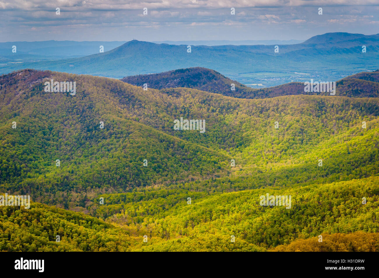 Spring view of the Blue Ridge Mountains and Shenandoah Valley, from ...