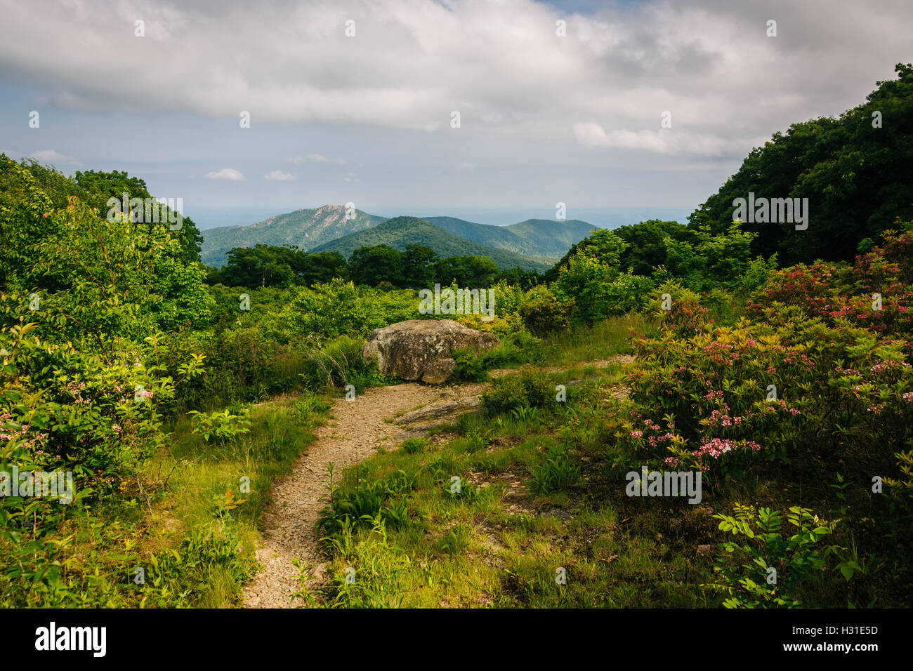 View of Old Rag from Thoroughfare Overlook, on Skyline Drive in ...