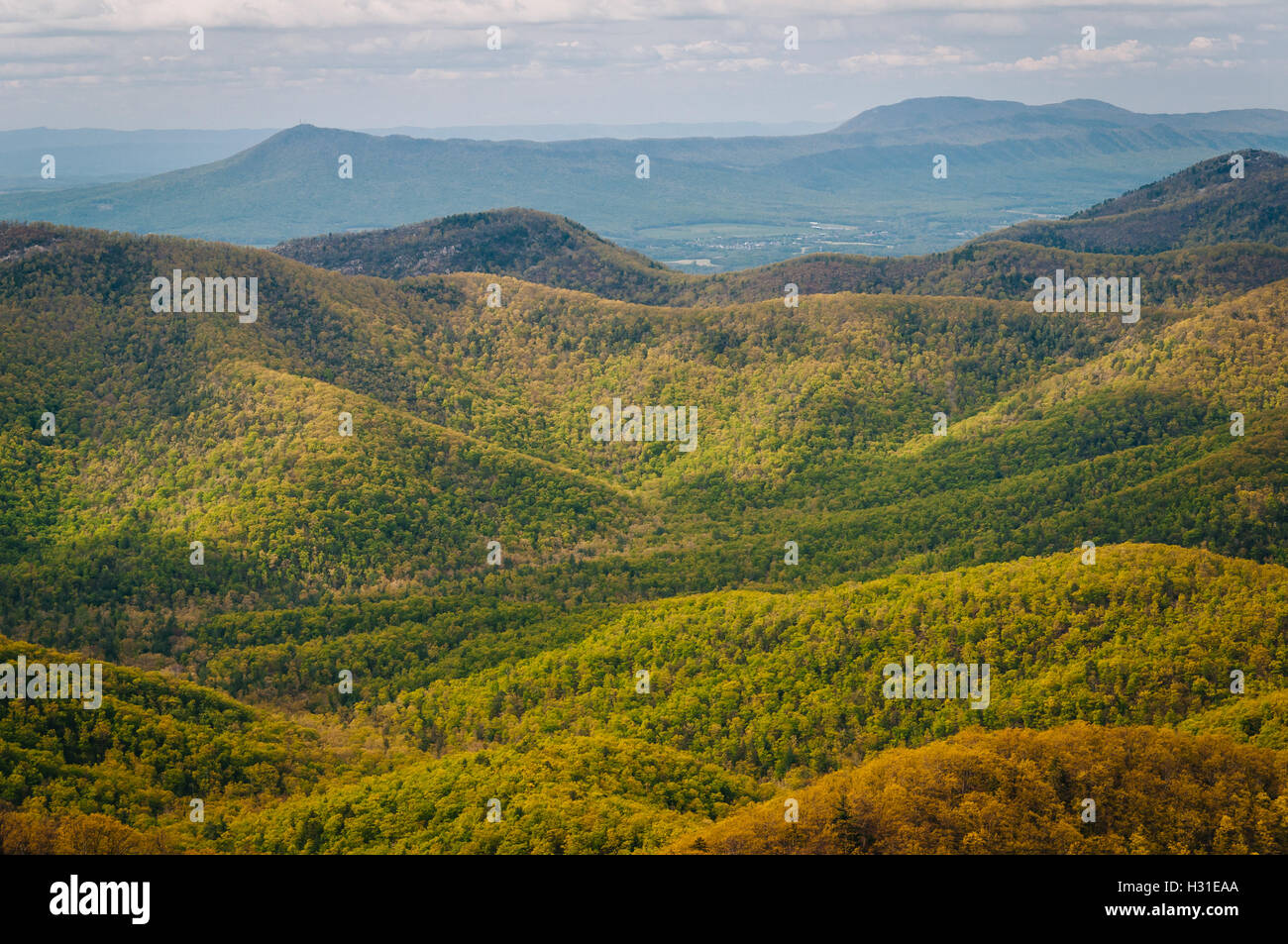 View of spring color in the Blue Ridge Mountains, in Shenandoah ...