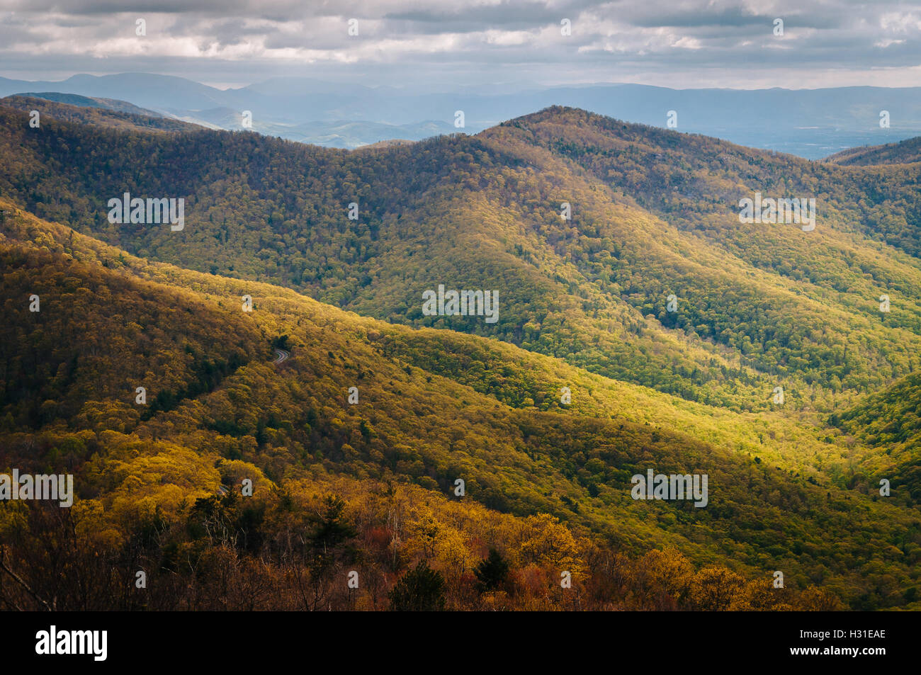 View of spring color in the Blue Ridge Mountains from Blackrock Summit ...