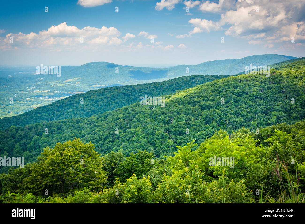 View of the Blue Ridge Mountains and Shenandoah Valley, from Skyline Drive in Shenandoah National Park, Virginia. Stock Photo