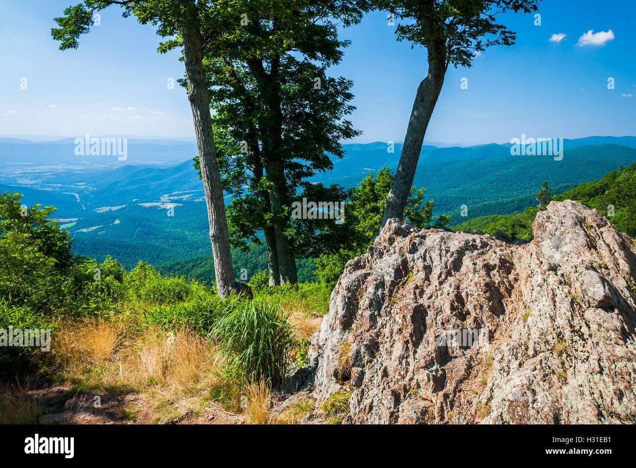 View of the Blue Ridge Mountains and Shenandoah Valley from Jewell Hollow Overlook, in Shenandoah National Park, Virginia. Stock Photo