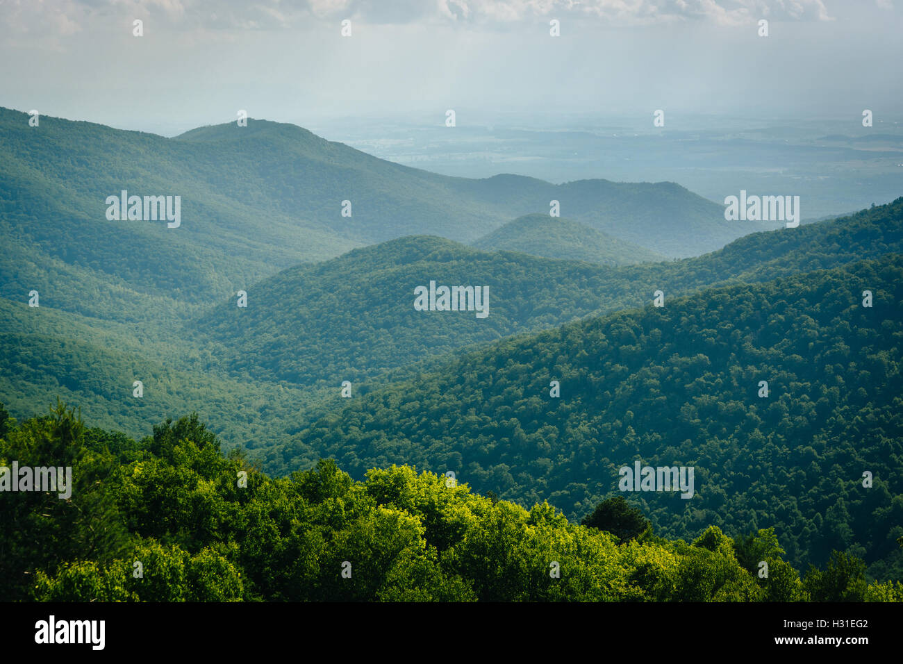 View of the Blue Ridge from Blackrock Summit, in Shenandoah National Park, Virginia. Stock Photo