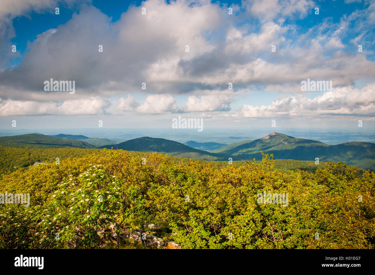 View of the Blue Ridge from Hawksbill Summit, in Shenandoah National Park, Virginia. Stock Photo