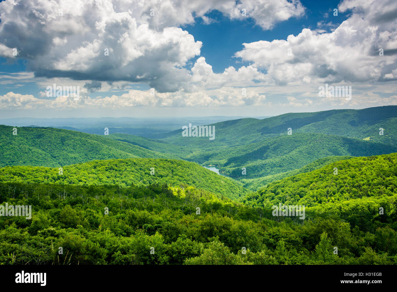 View of the Charlottesville Reservoir from Moormans River Overlook, on ...