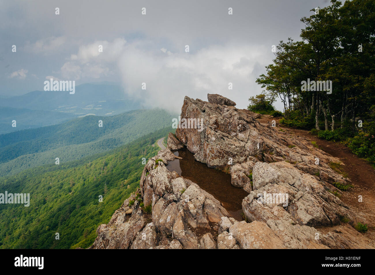 Water puddle on Little Stony Man Cliffs and foggy view of the Blue ...
