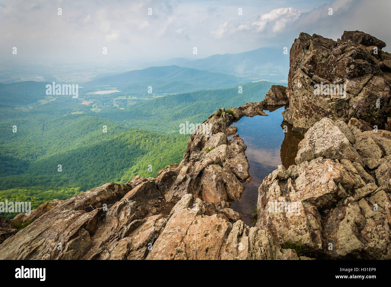 Water puddle on Little Stony Man Cliffs and foggy view of the Blue ...