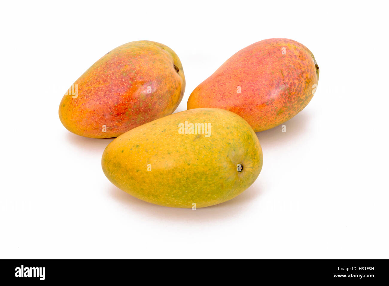 Juicy ripe indian mangoes hires stock photography and images Alamy