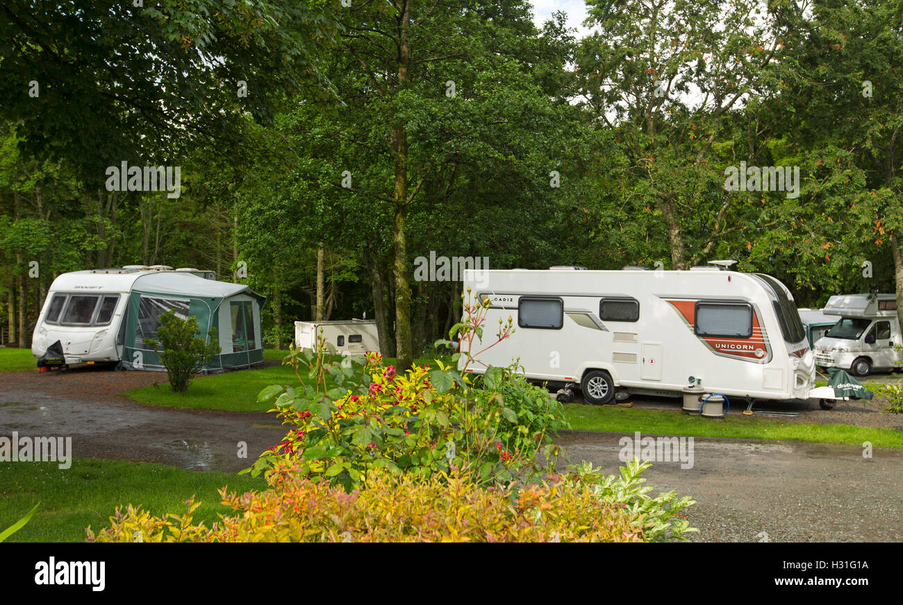 Holiday caravans among shading trees, verdant lawns, and colourful