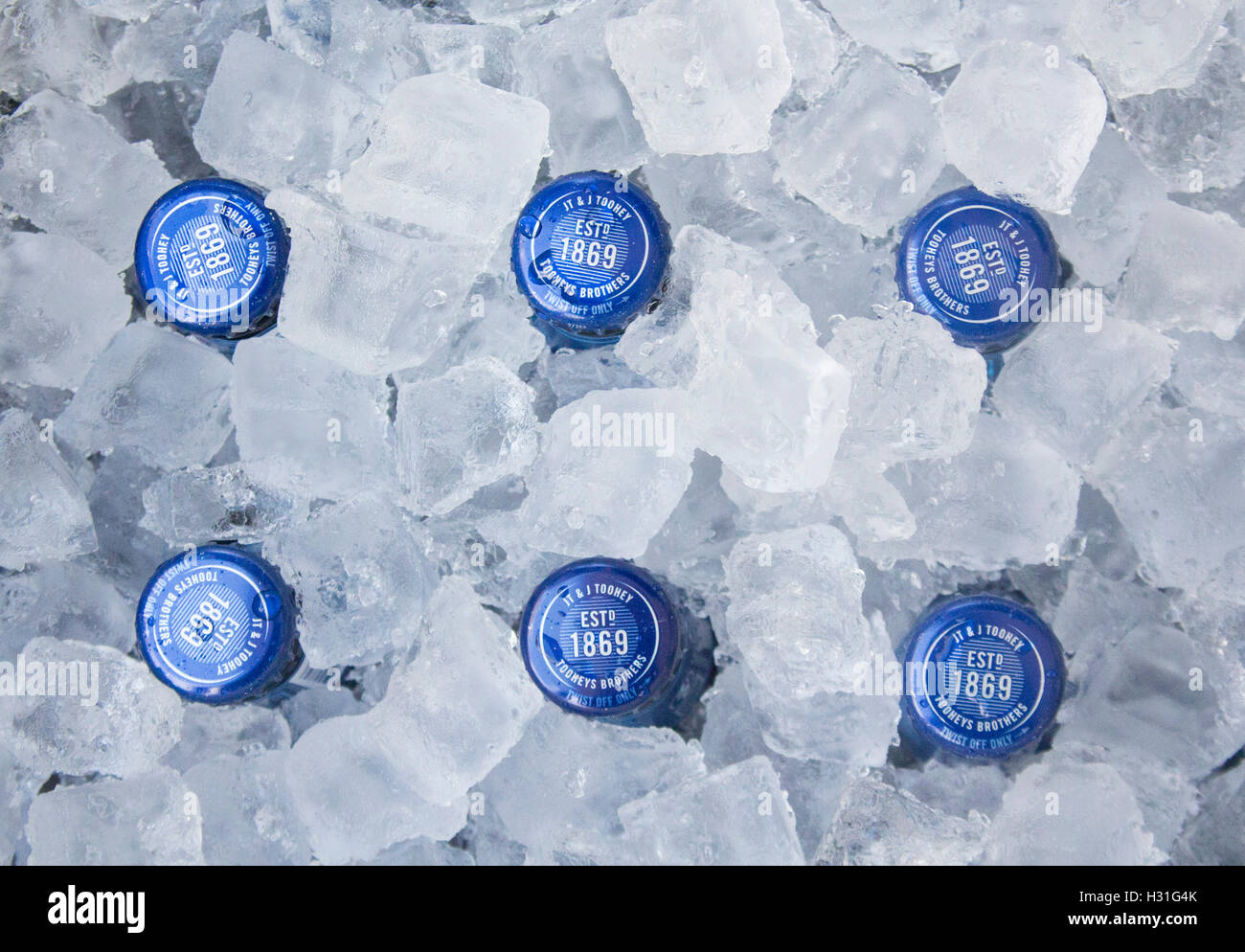 Beer bottle tops bottles in ice in esky NSW Australia Stock Photo