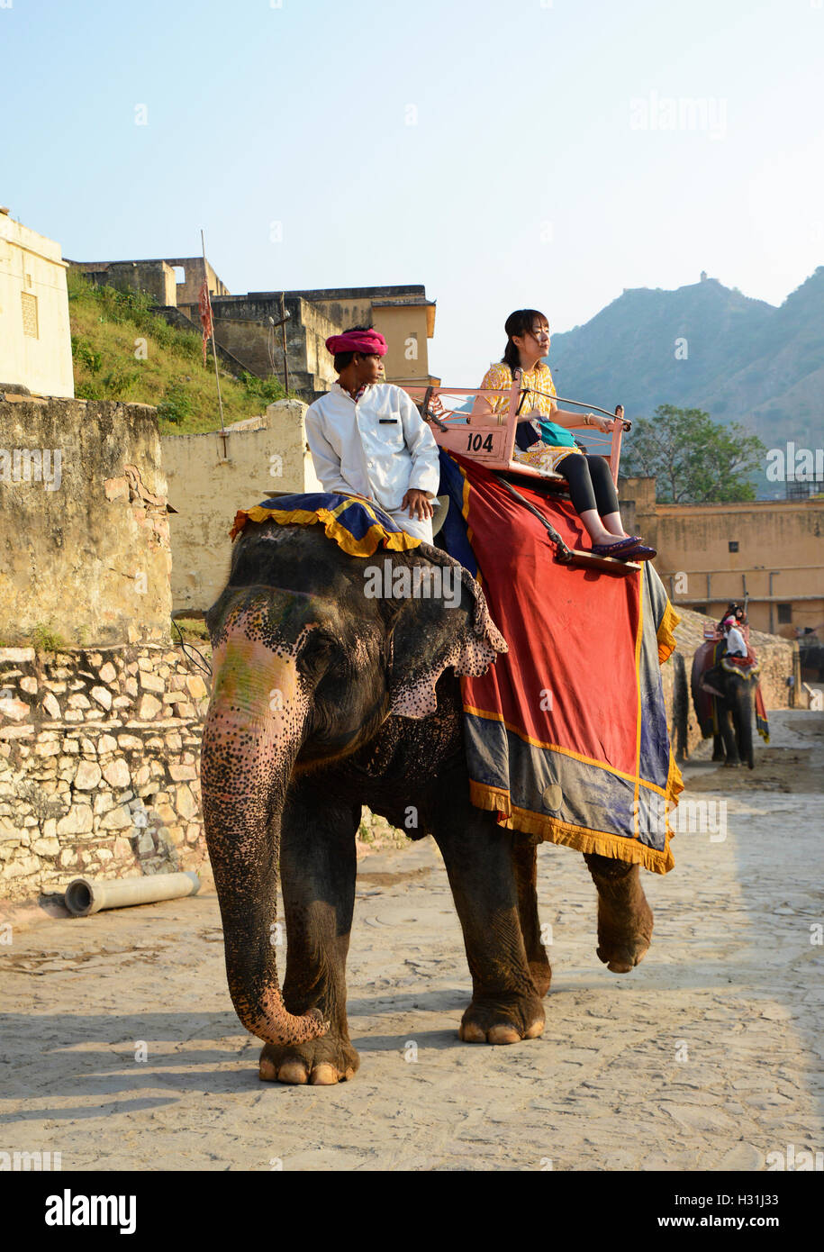 Mahout riding decorated Indian Elephant at Amer fort Stock Photo - Alamy