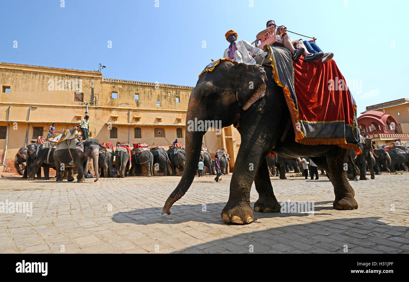Mahout riding decorated Indian Elephant at Amer fort Stock Photo