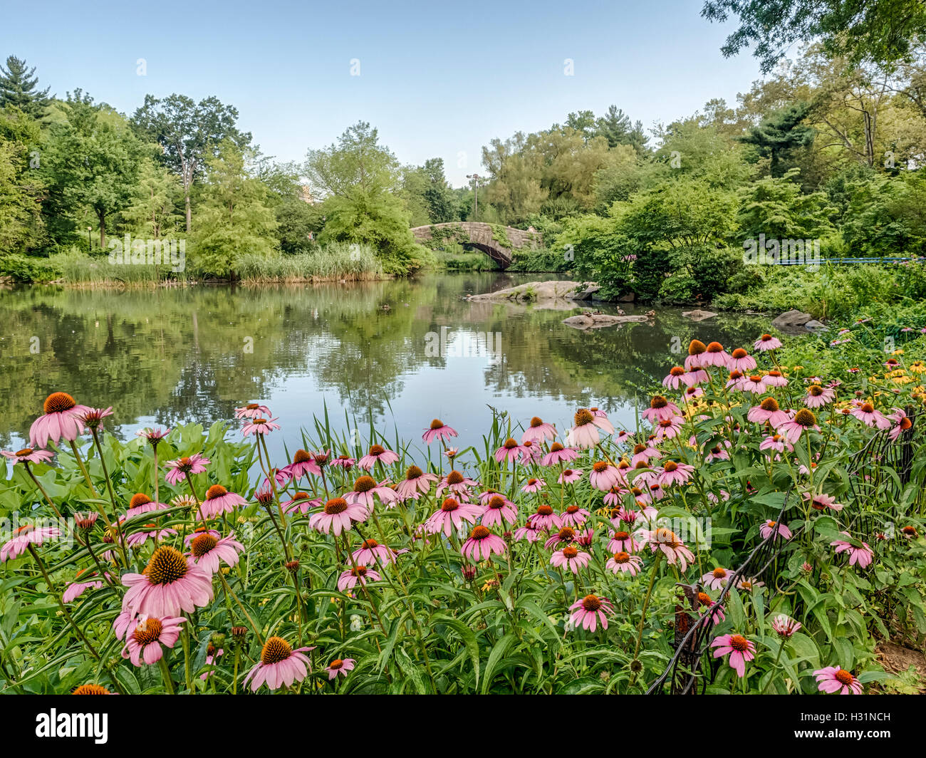 gapstow-bridge-is-one-of-the-icons-of-central-park-manhattan-in-new