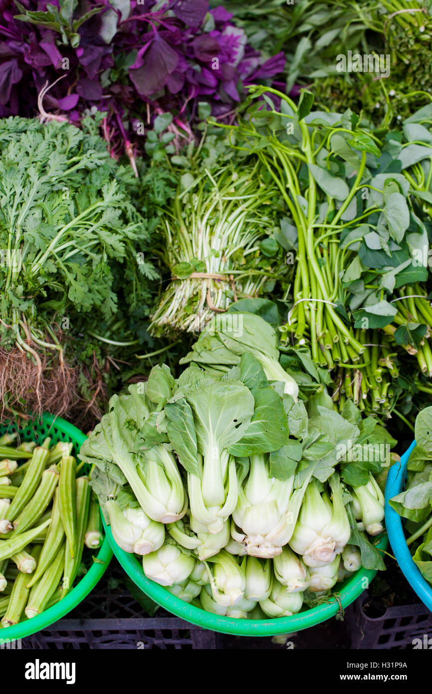 Assorted green vegetables Vietnamese farm market Stock Photo Alamy
