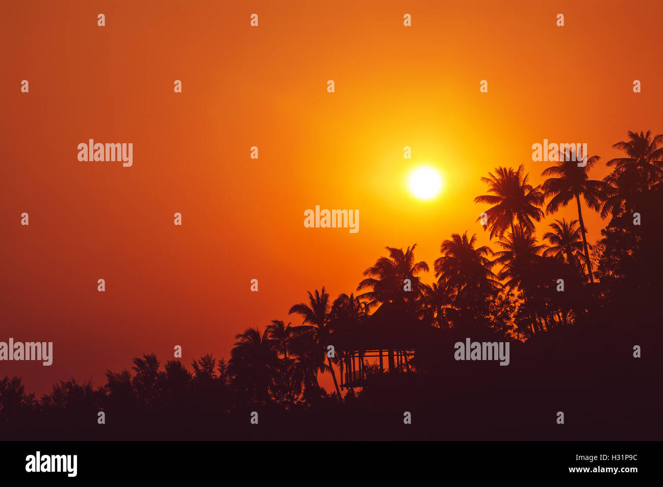 Sunset with coconut palm trees hi-res stock photography and images - Alamy