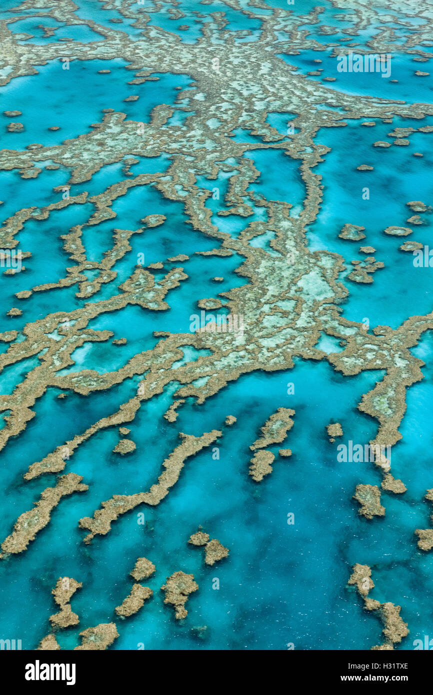 Qz0452 D Aerial View Of Coral Reefs Great Barrier Reef Australia Pacific Ocean Photo 2594