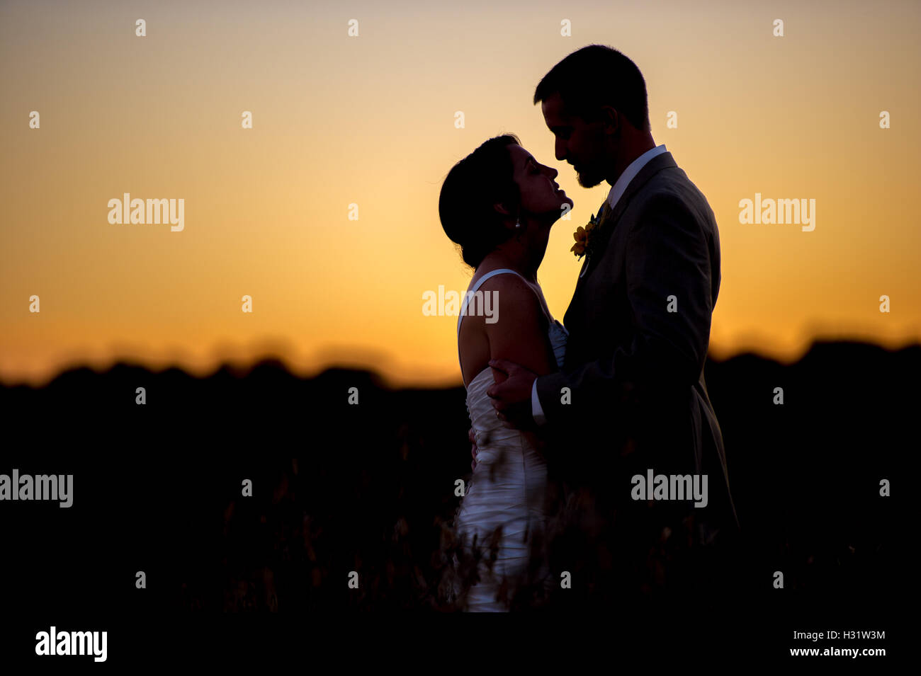 Partial silhouette of Mike and Alison Amoss in a soy bean field on their wedding day. Stock Photo