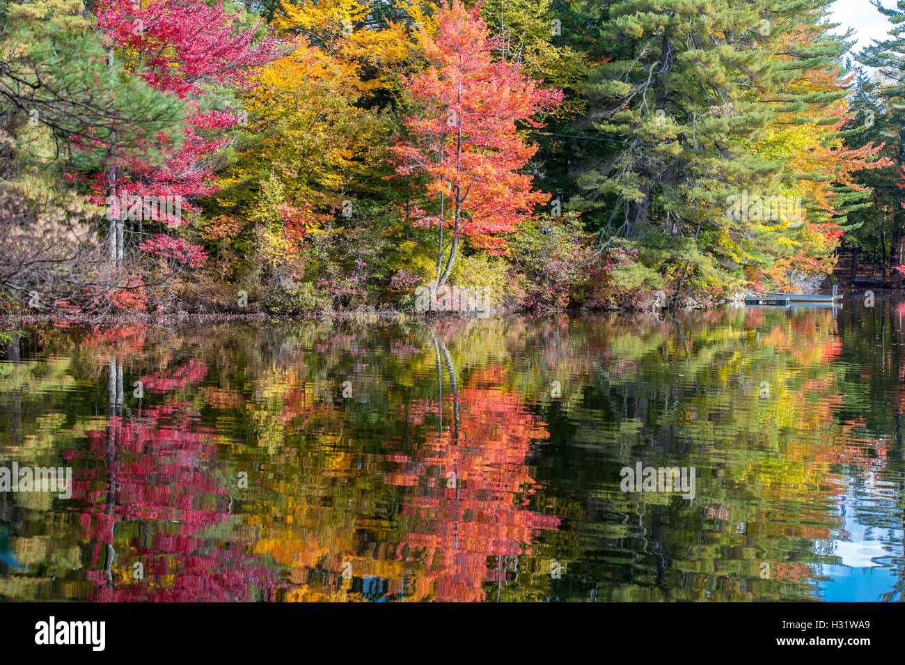 Reflections of the sky and fall foliage on Bryant Pond in Maine Stock