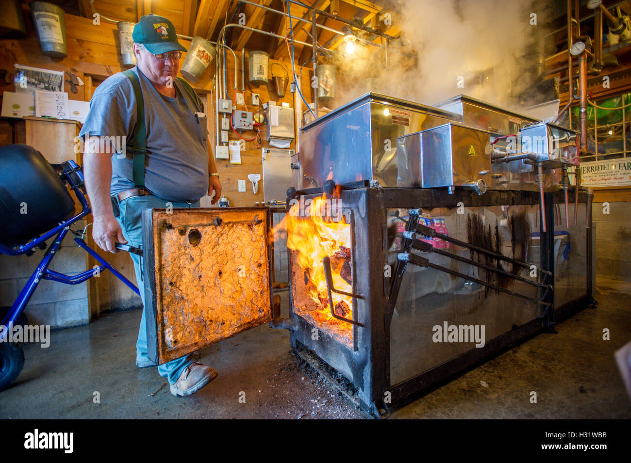 Man checking the fire on an evaporator for maple syrup in Gorham, Maine