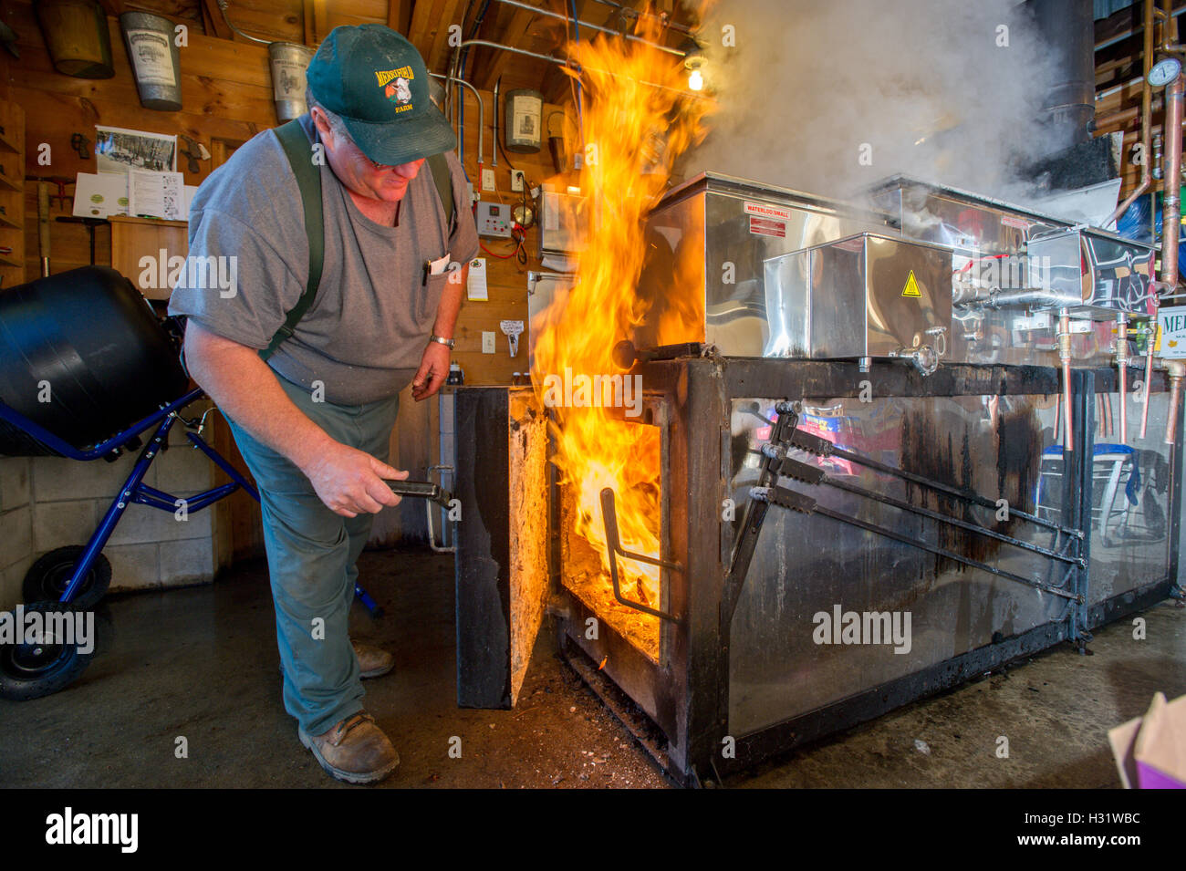 Man checking the fire on an evaporator for maple syrup in Gorham, Maine