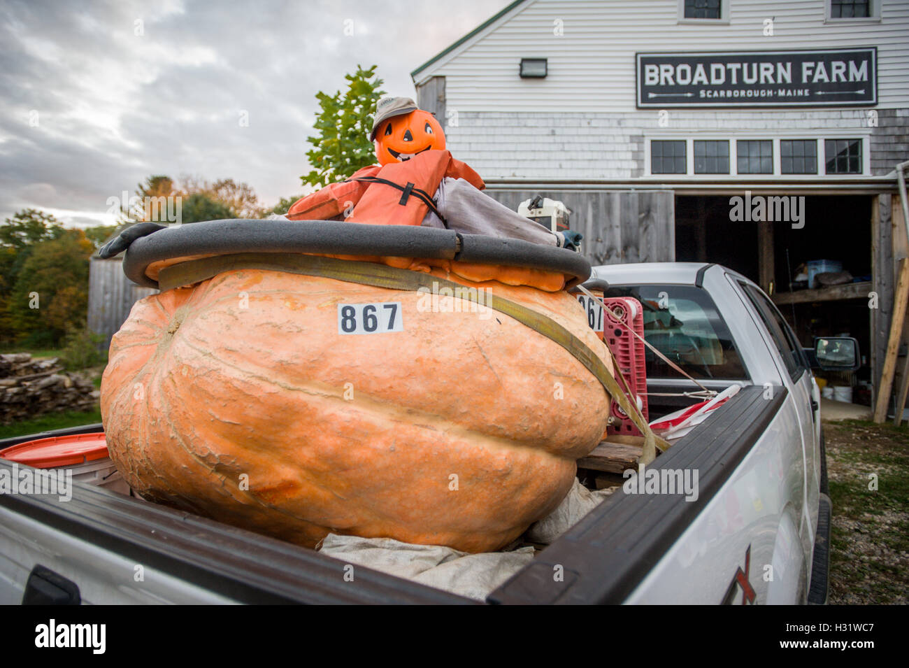 Pumpkin boat in the back of a truck on Broadturn Farm in Scarborough, Maine. Stock Photo