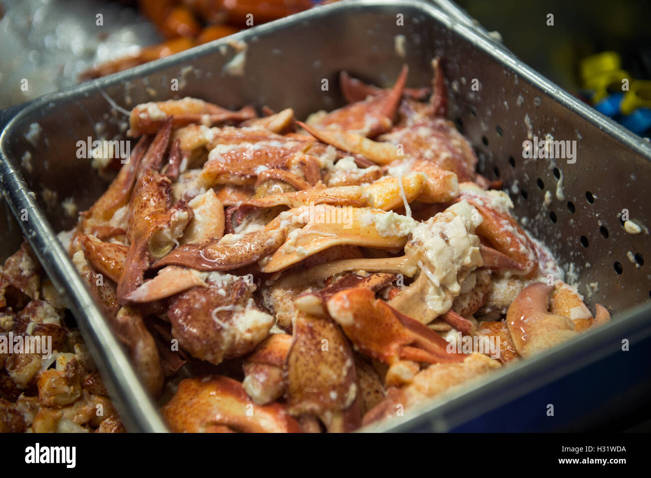 Pile of lobster claws in Saco, Maine Stock Photo Alamy