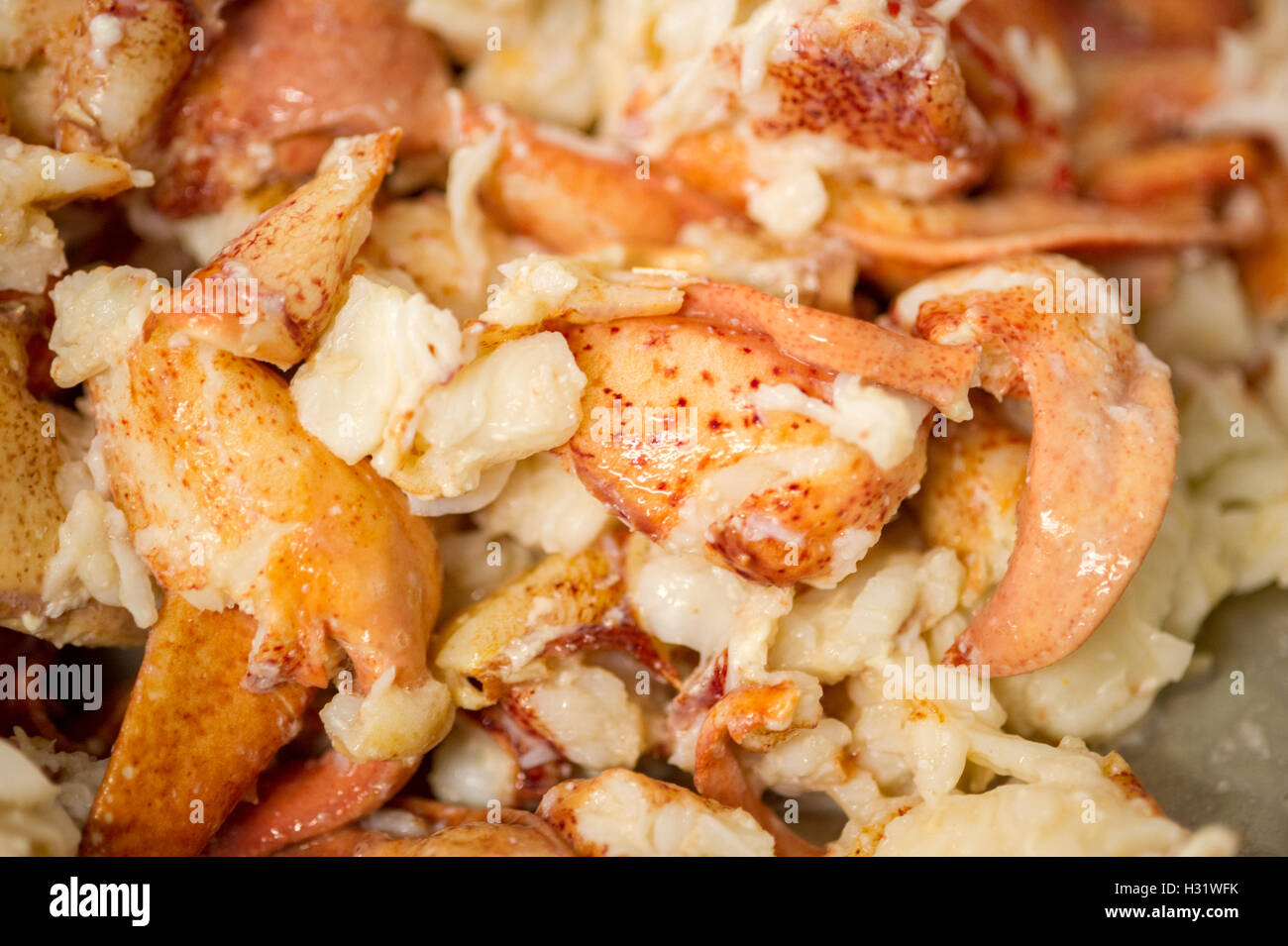 Lobster meat hires stock photography and images Alamy