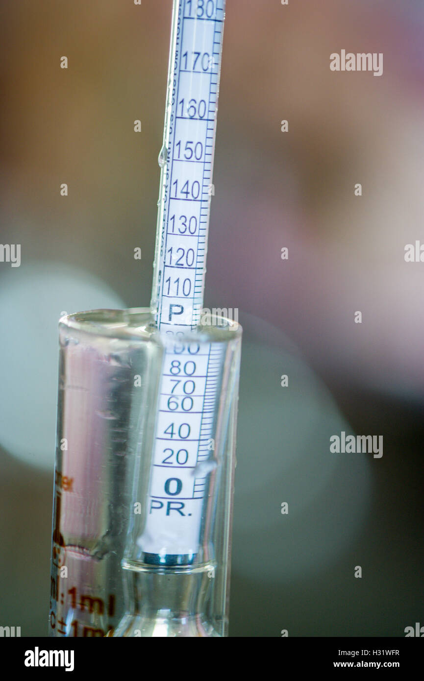 Hydrometer measuring alcohol content at a distillery in Portland, Maine. Stock Photo