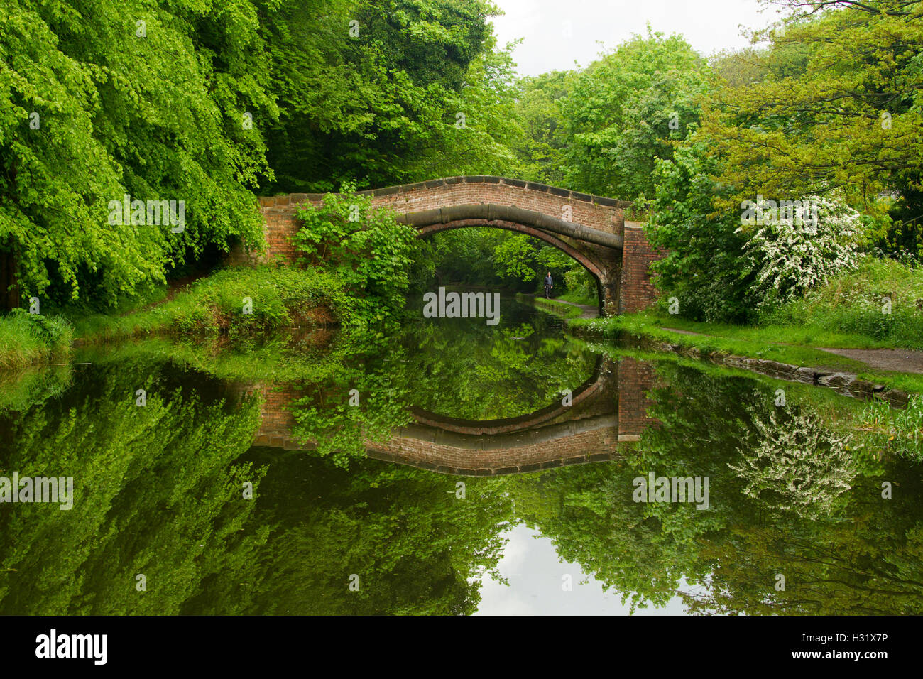 Stunning view of emerald woodlands severed by Llangollen canal with historic stone arched bridge & trees reflected in surface of water in Britain Stock Photo