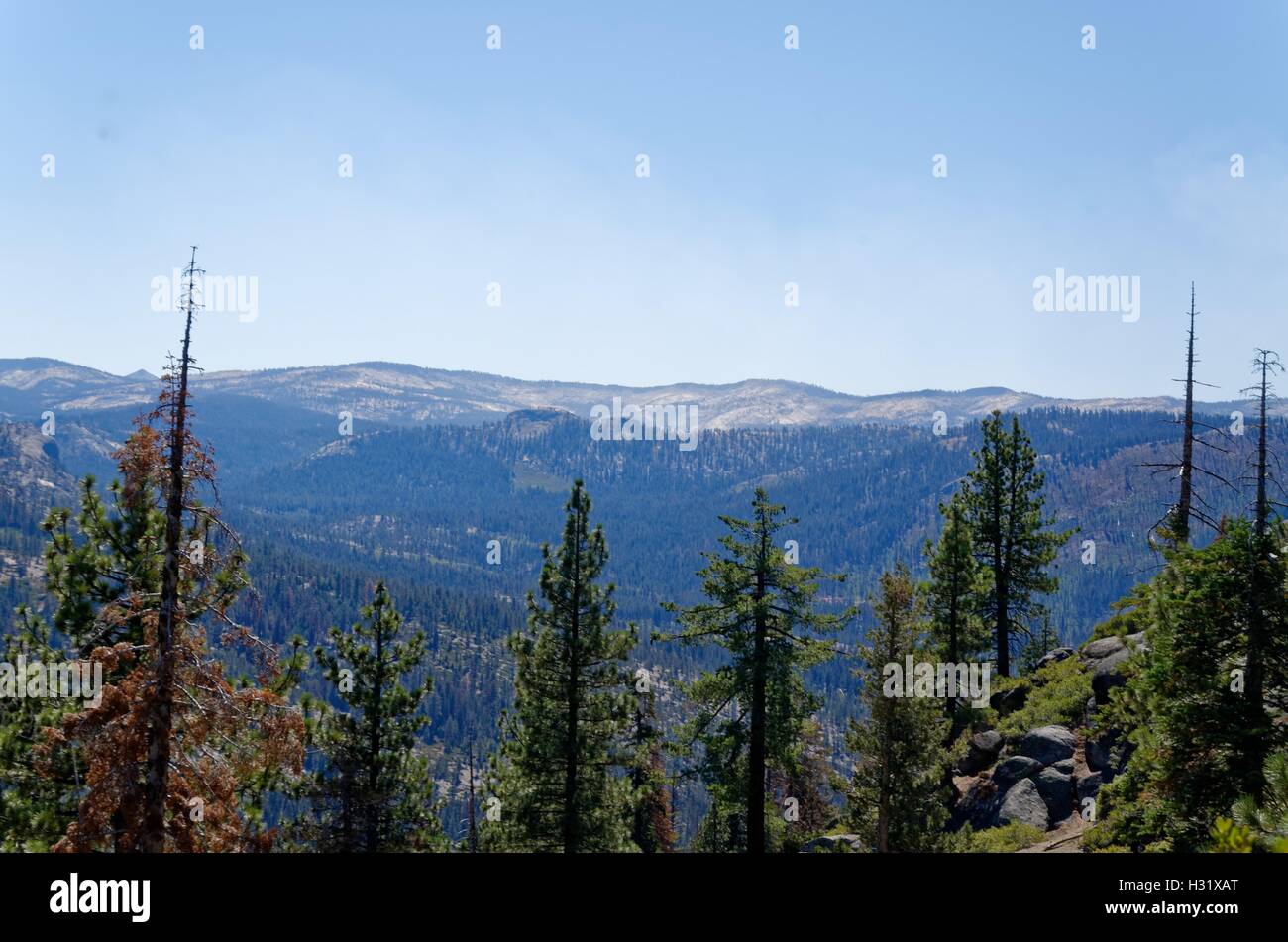 Overlooking forestland in Yosemite National Park Stock Photo