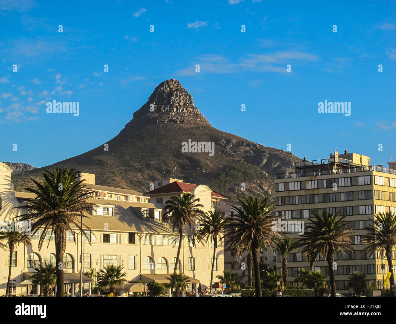 Lion head Cape Town, South Africa Stock Photo - Alamy
