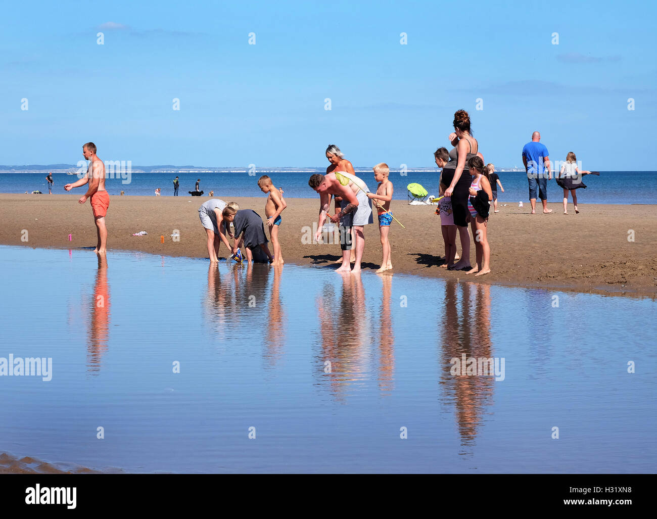 People searching in tidal pool for sea creatures. Stock Photo