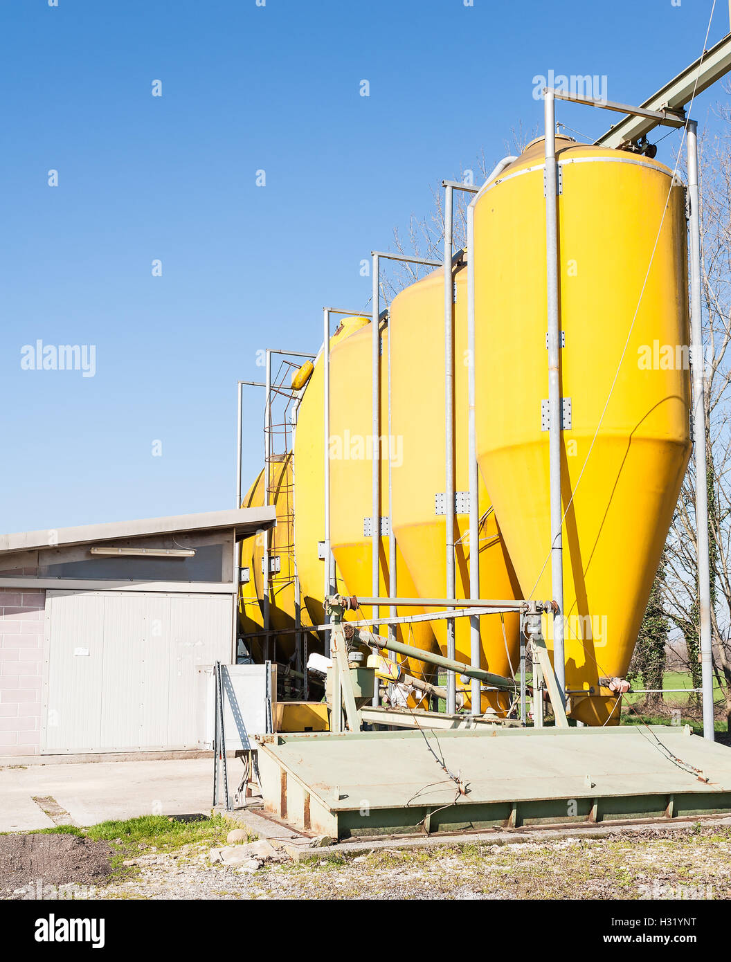 Silos for a chicken farm. Agricultural tank for the storage of feed Stock Photo