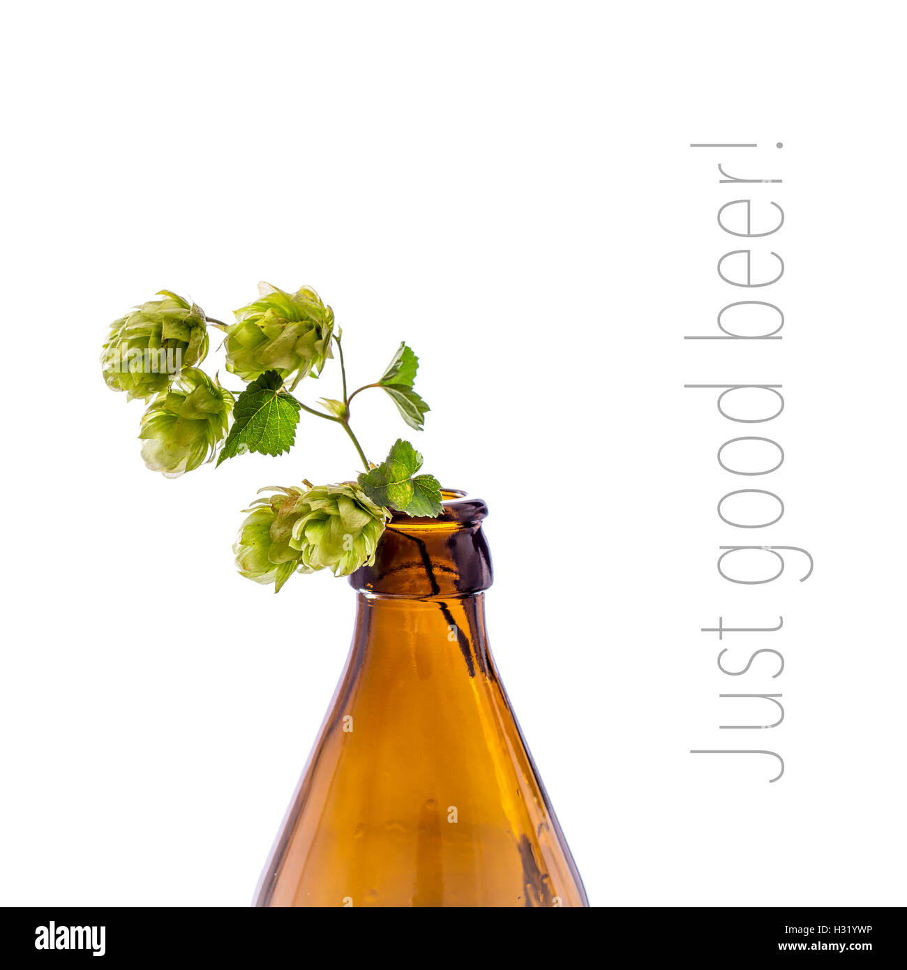 Isolated branch hi-res stock photography and images - Alamy