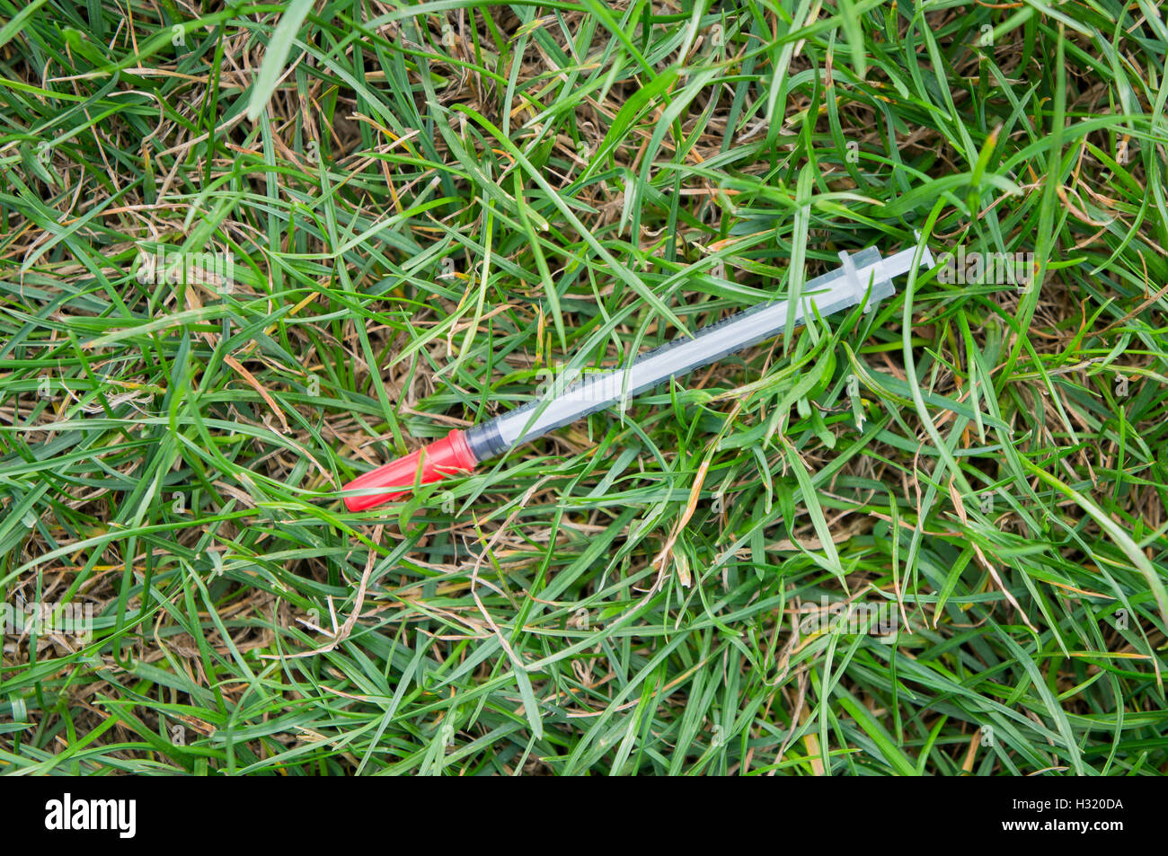 syringe needle, grass, green Stock Photo