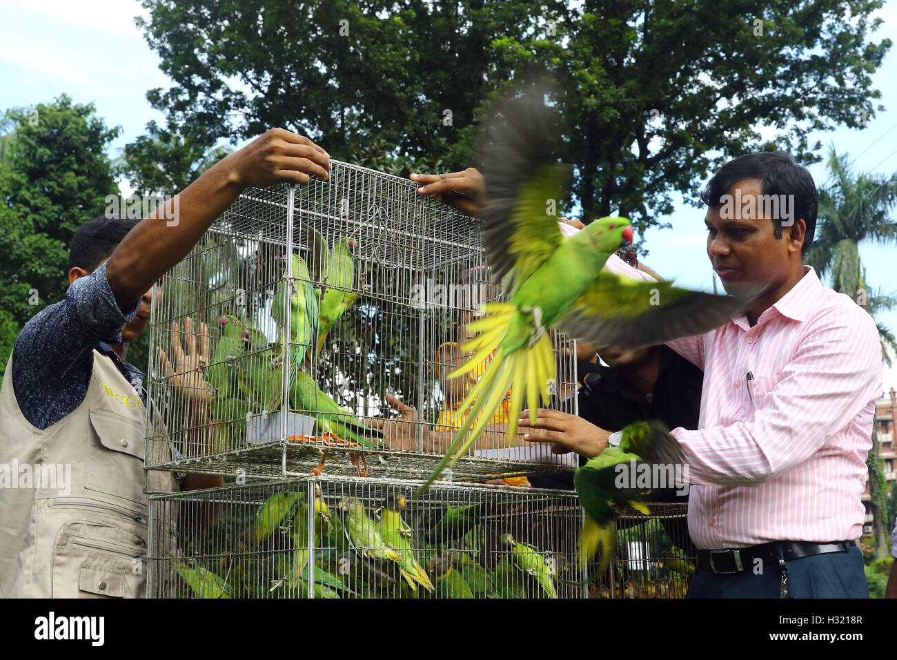 A mobile court of Rapid Action Battalion releasing wild birds at Curzon Hall on the Dhaka University campus on 29 Sept 2016. Stock Photo