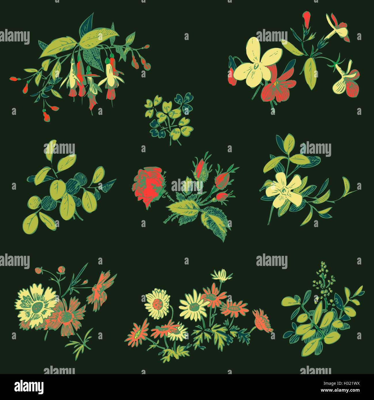 Meadow flower and leaf set vector isolated on black, floral doodle ...