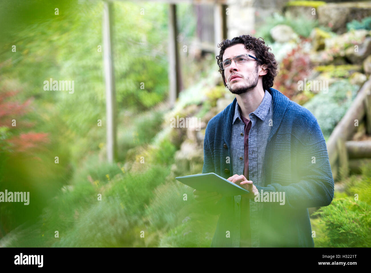 Young man using a digital tablet to analyse trees. Stock Photo