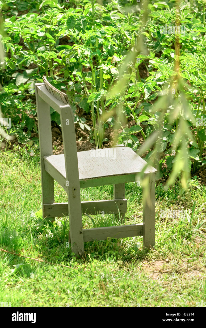 https://c8.alamy.com/comp/H322T4/small-wooden-gray-chair-in-summer-sunny-garden-H322T4.jpg