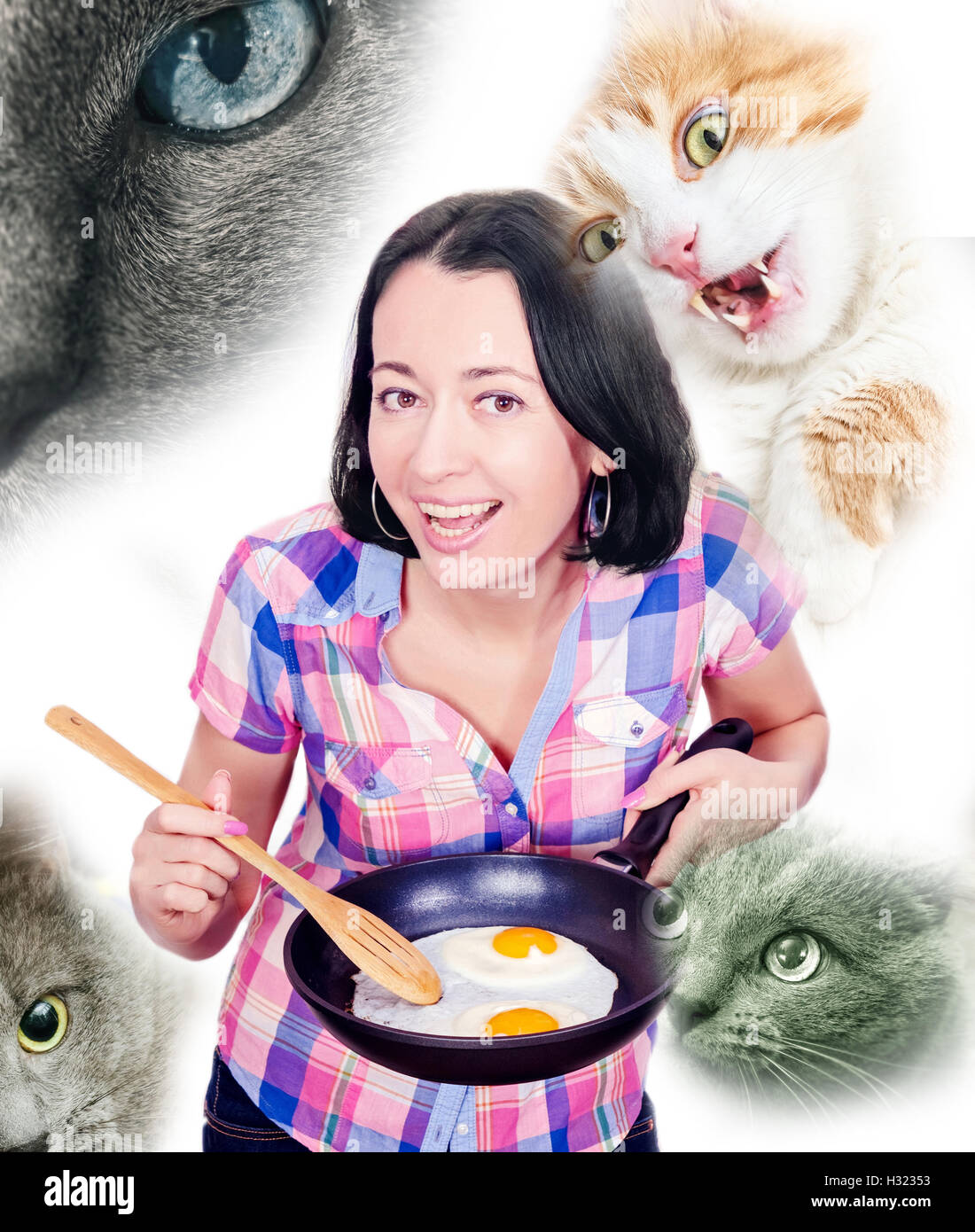 scrambled eggs for cats