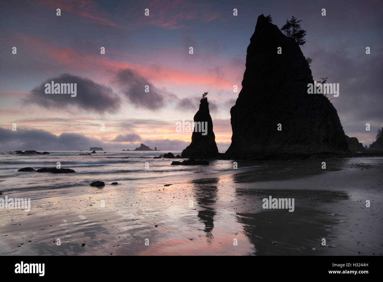 Sunset and Seastacks, Rialto Beach Olympic National Park, Washington Stock Photo