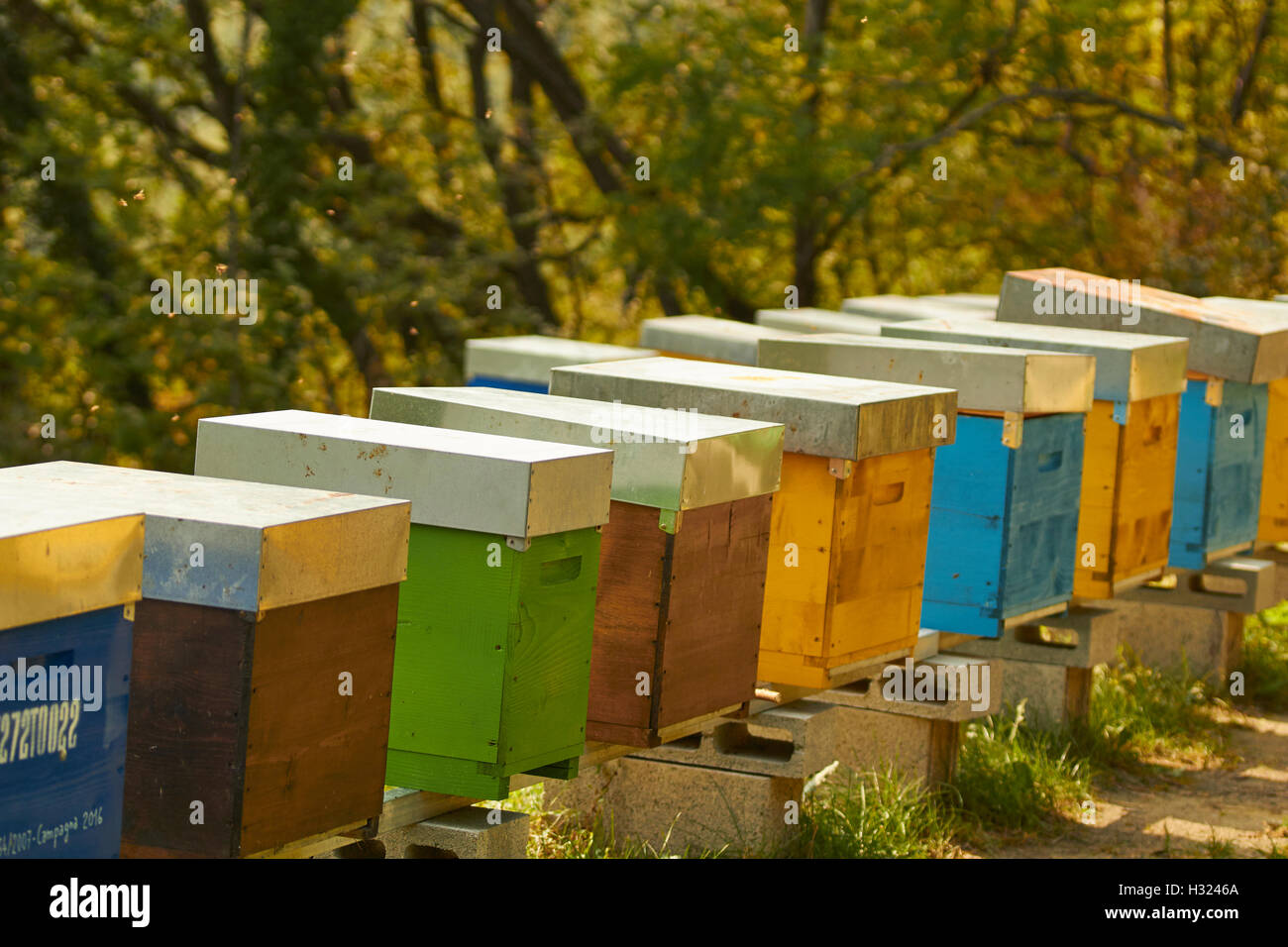 Beehives, Piemonte, Italy Stock Photo