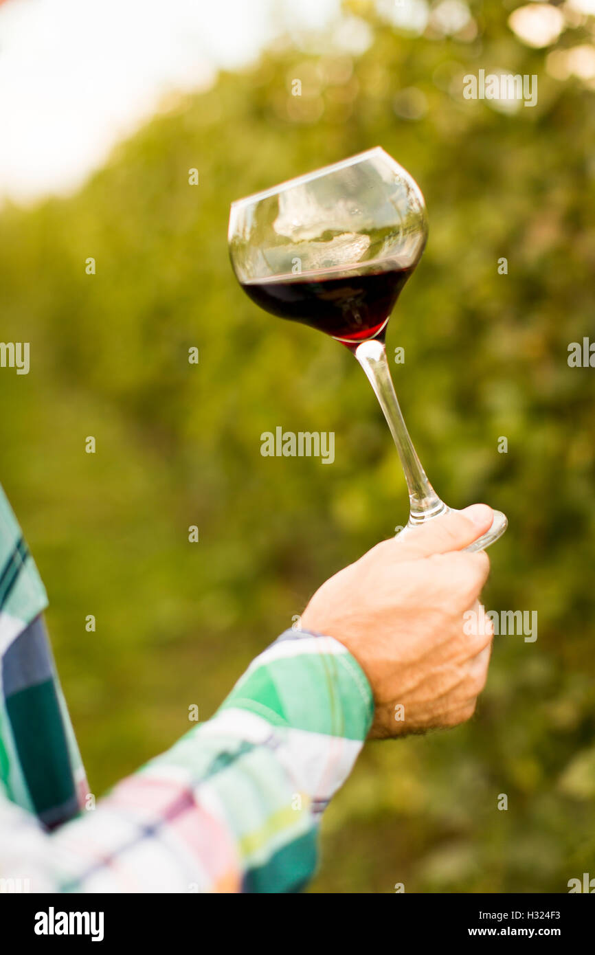 Young winemaker tasting red wine in vineyard Stock Photo