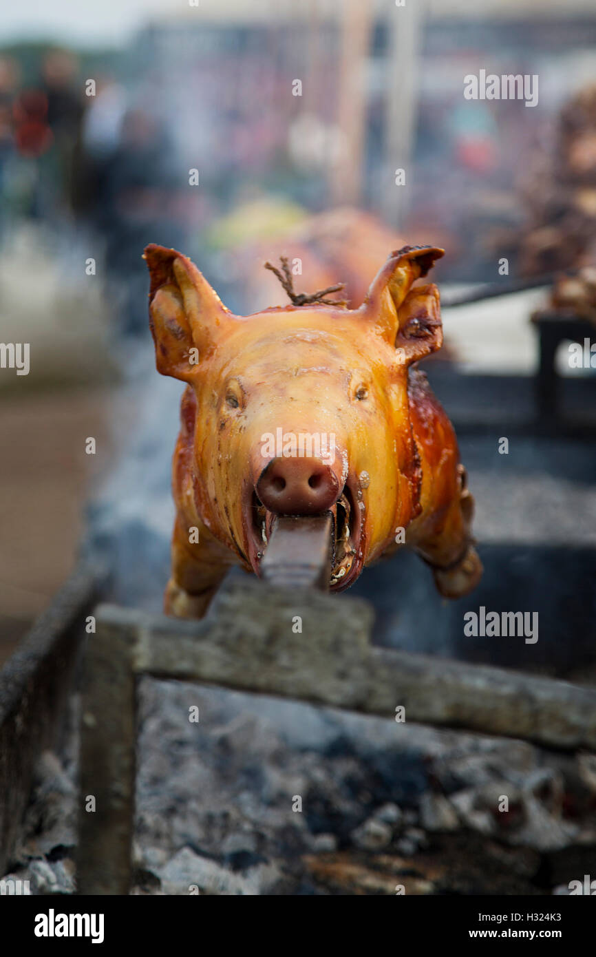 View at roasted pig on a spit Stock Photo Alamy