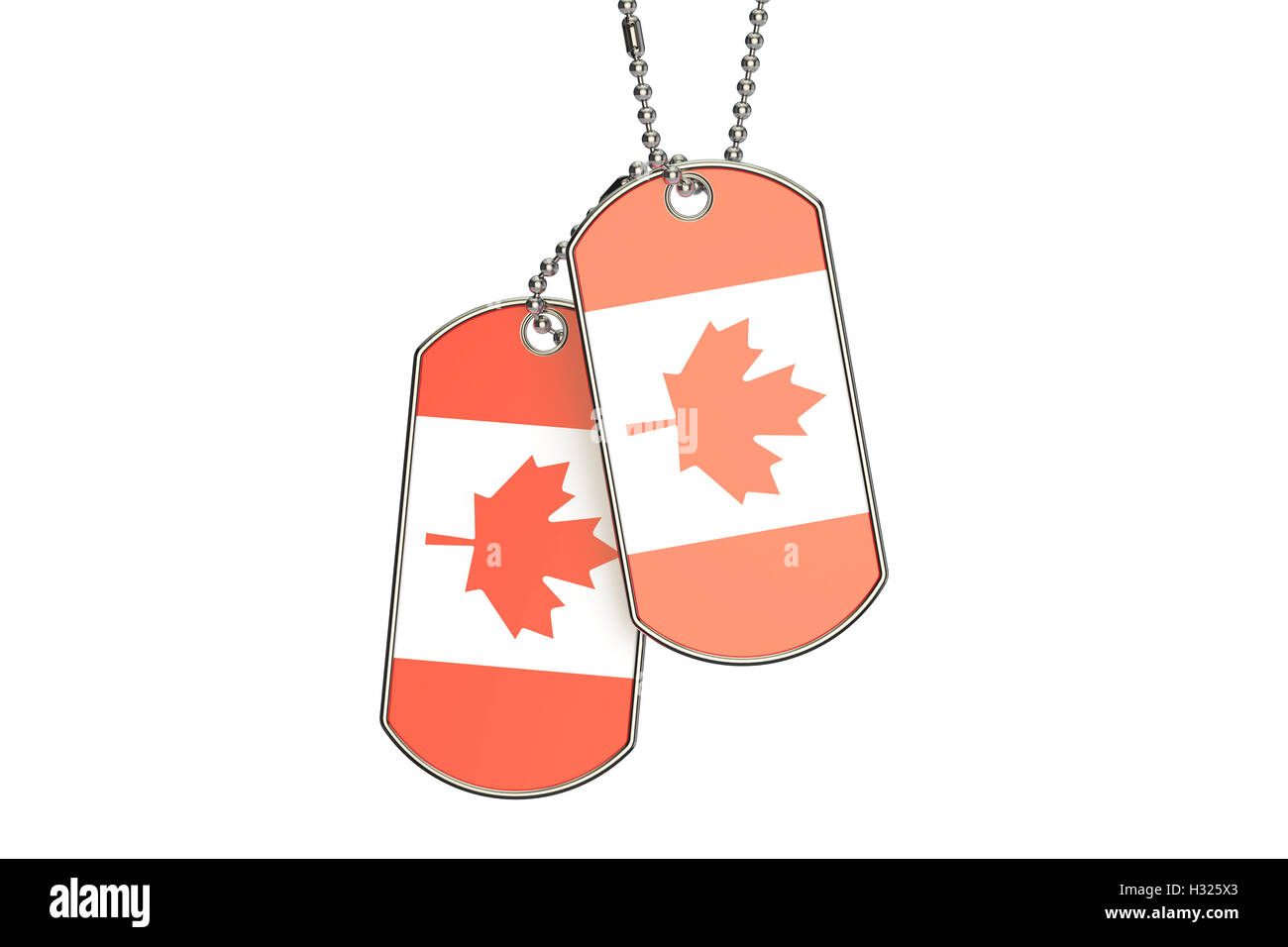 Canadian Dog Tags, 3D rendering isolated on white background Stock