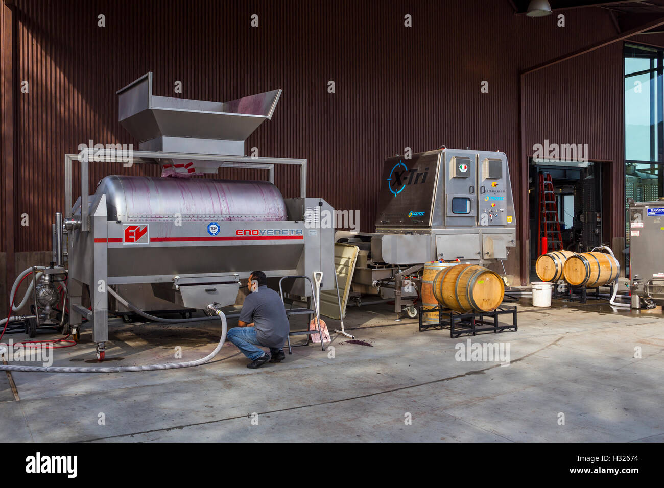 winery worker, wine press, crush pad, B Cellars Vineyards and Winery