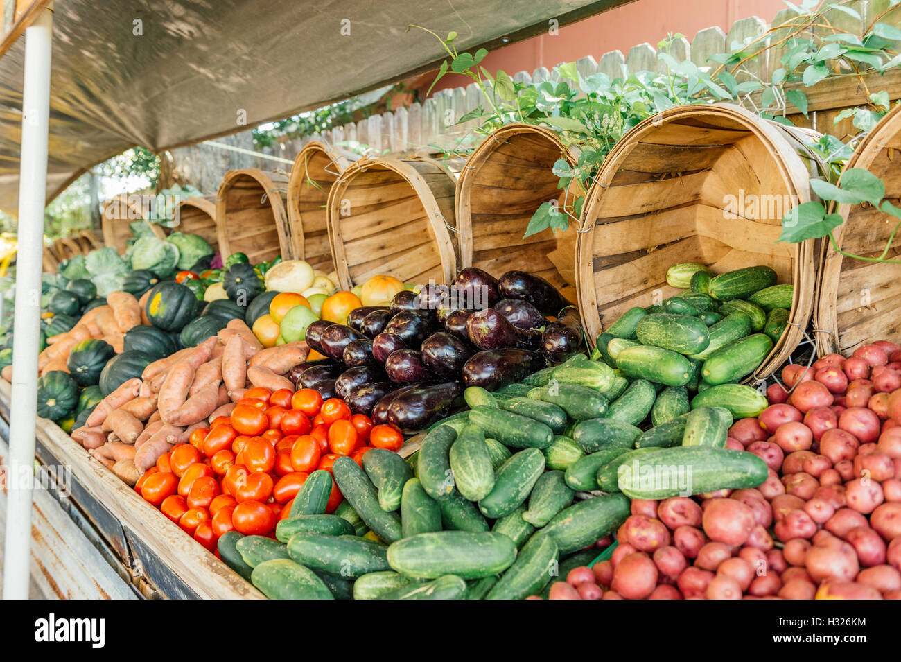 Fresh fruit and vegetable market in Land O Lakes, Florida is just a roadside stand. Stock Photo