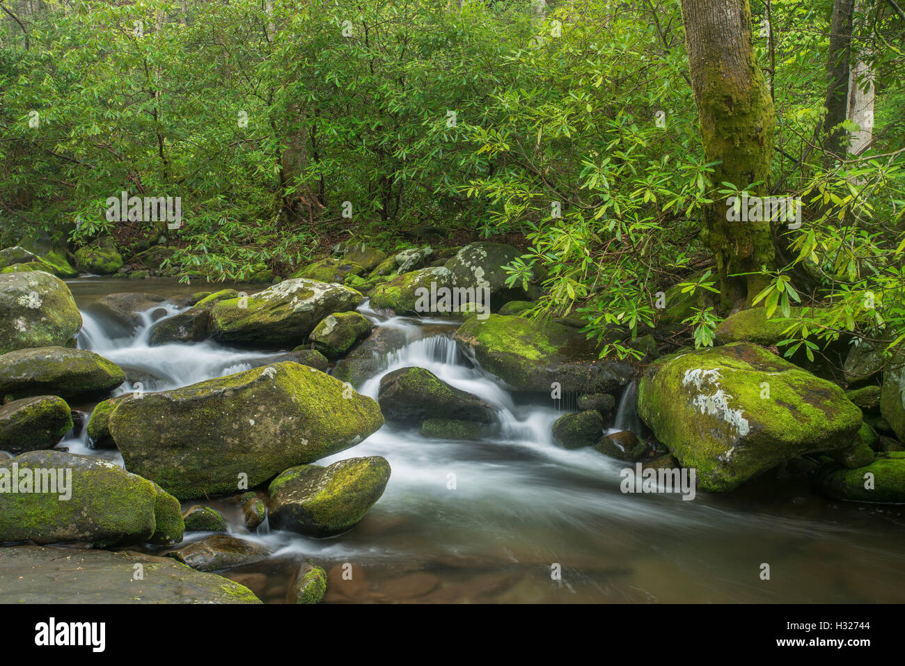 Tennessee Boulders Rocks Moss-covered rocks and boulders along Roaring Fork River, Summer, Great ...