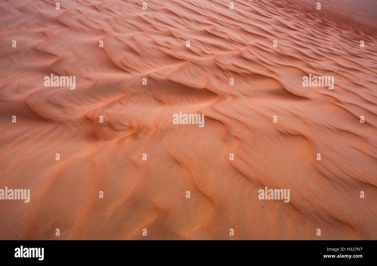 Sand dunes of the Empty Quarter desert, covering large area in UAE, KSA and Oman Stock Photo